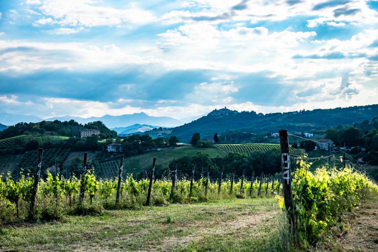 Recchi Franceschini Bike Hotel Last - Minute - Availability Montalto delle Marche Dış mekan fotoğraf