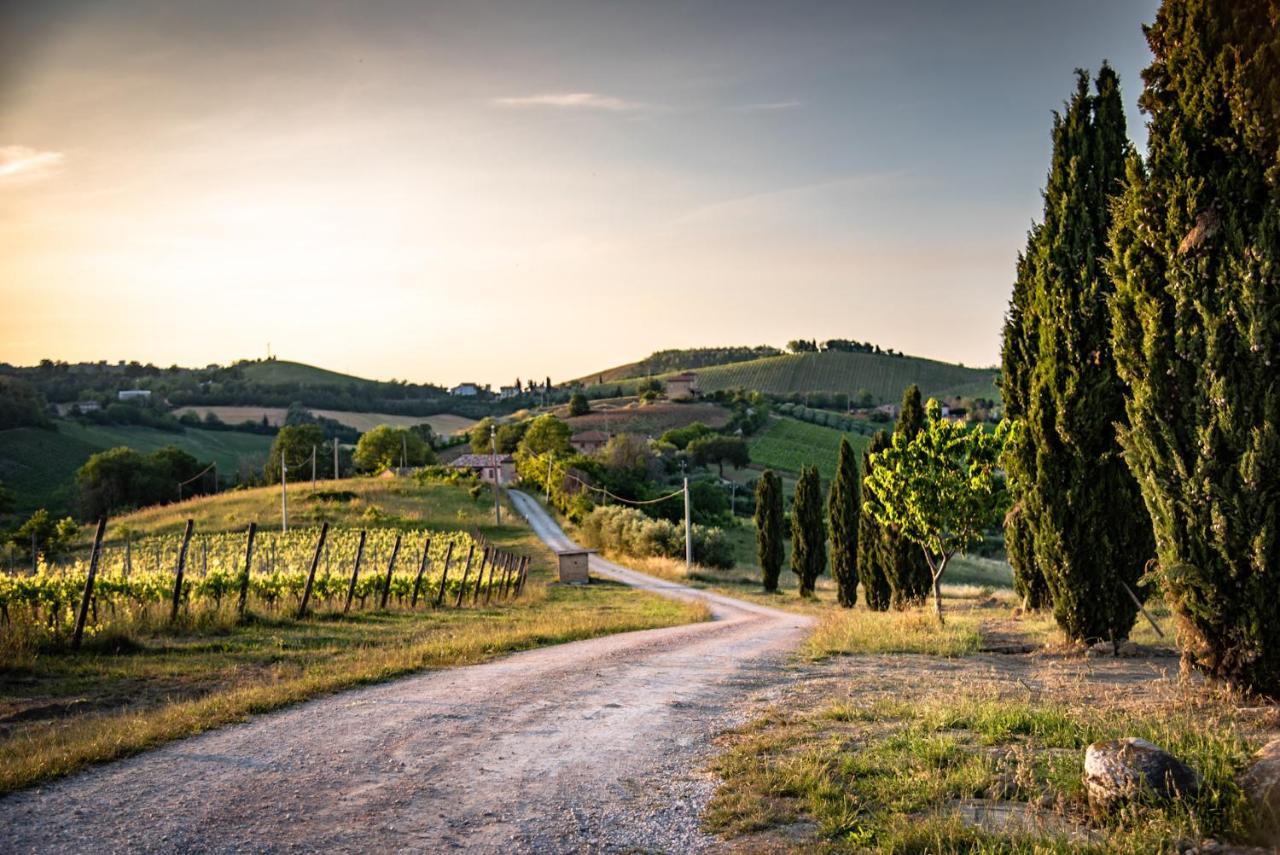 Recchi Franceschini Bike Hotel Last - Minute - Availability Montalto delle Marche Dış mekan fotoğraf