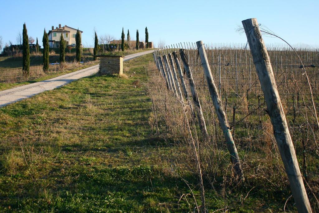 Recchi Franceschini Bike Hotel Last - Minute - Availability Montalto delle Marche Dış mekan fotoğraf