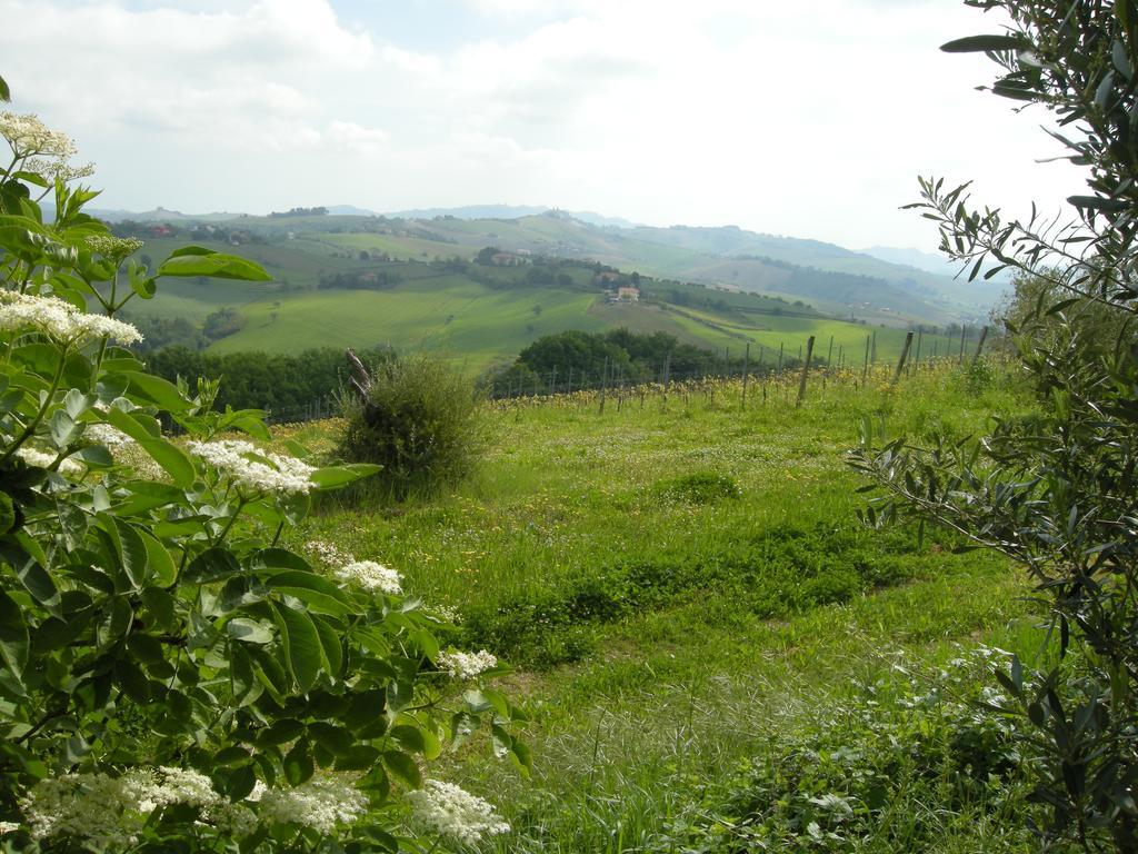 Recchi Franceschini Bike Hotel Last - Minute - Availability Montalto delle Marche Dış mekan fotoğraf